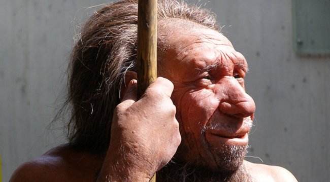 neanderthal_660px.jpg