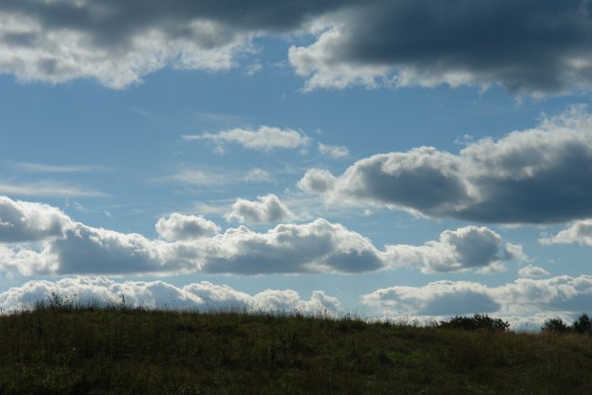 DSC00335.JPG