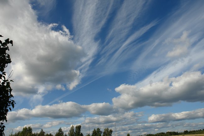 DSC00344.JPG