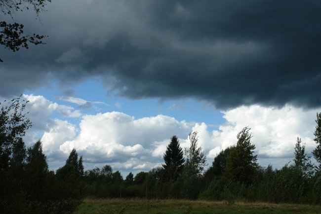 DSC00414.JPG