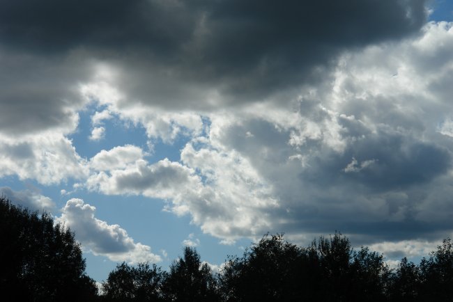DSC00419.JPG