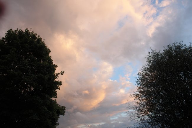 DSC00484.JPG