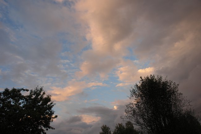 DSC00485.JPG