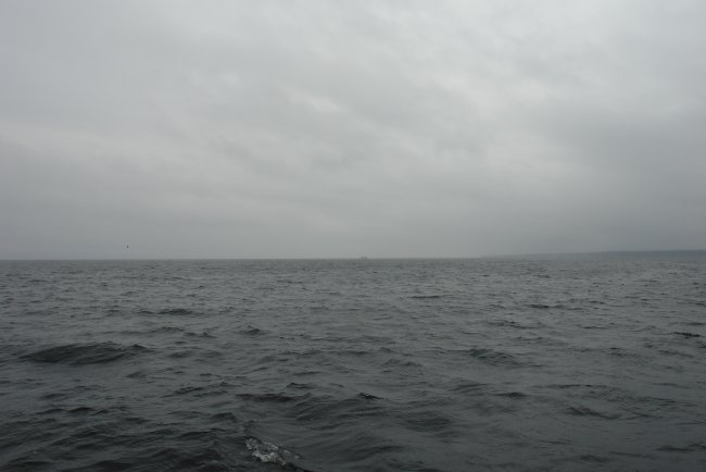 DSC02643.JPG