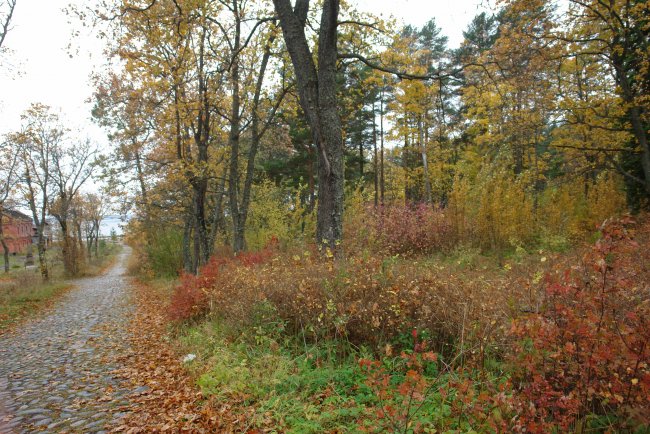 DSC02672.JPG