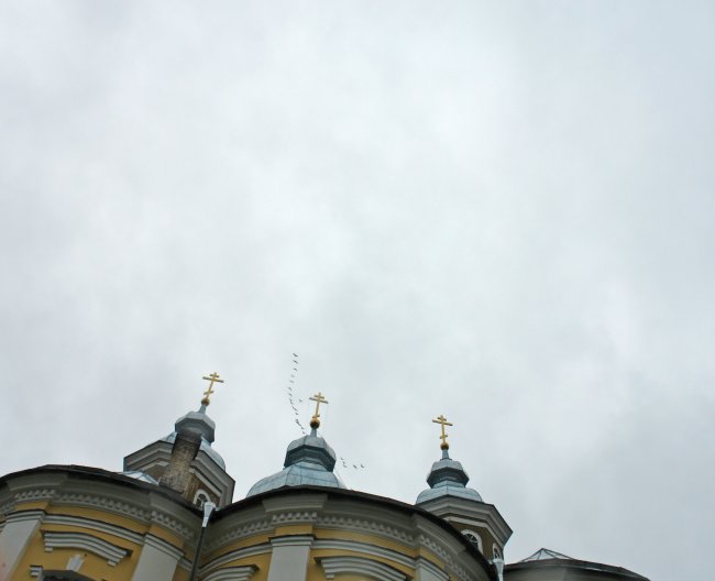 DSC02722.jpg