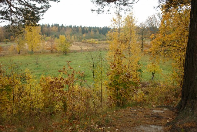 DSC02755.JPG