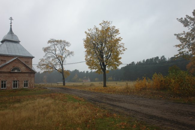 DSC02784.JPG