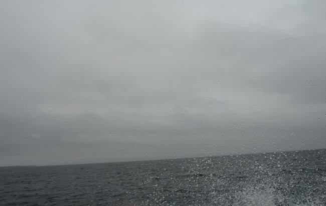 DSC02634.jpg