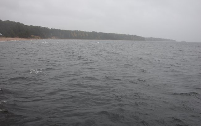 DSC02825.jpg