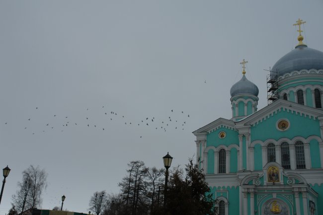DSC03876.JPG