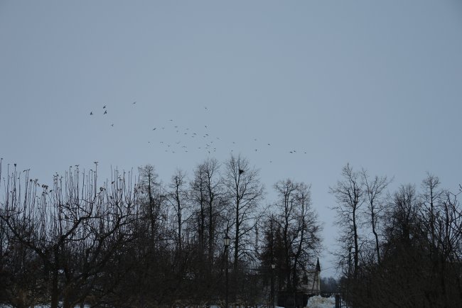 DSC03885.JPG