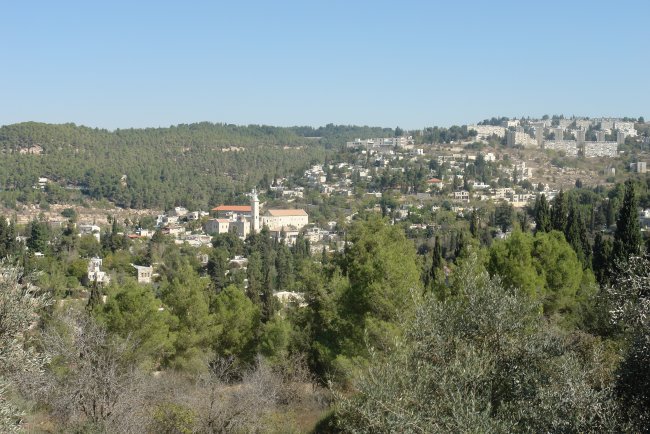 DSC-3.jpg DSC-3.jpg