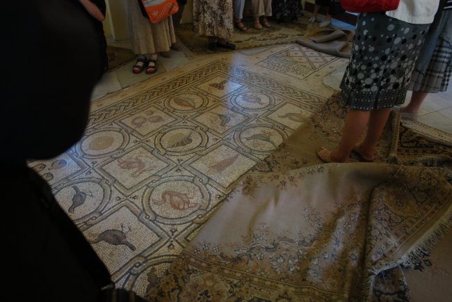 DSC-20.jpg DSC-20.jpg