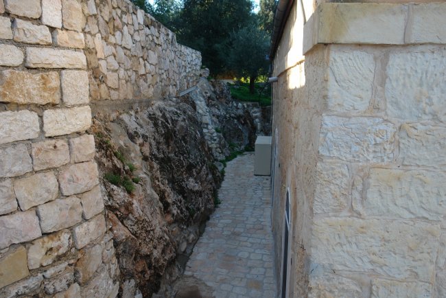 DSC-6 (2).jpg DSC-6 (2).jpg