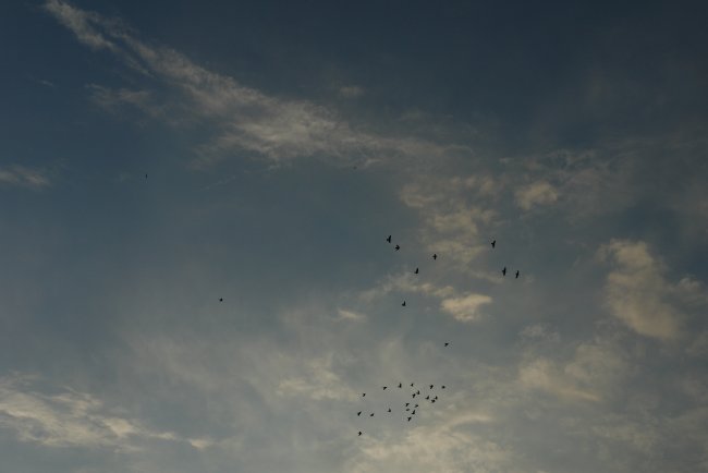 DSC04425.JPG