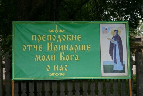 46.jpg