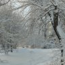 Евгения Романова