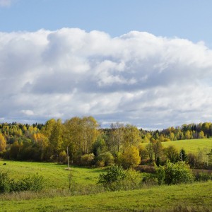 осенняя панорама