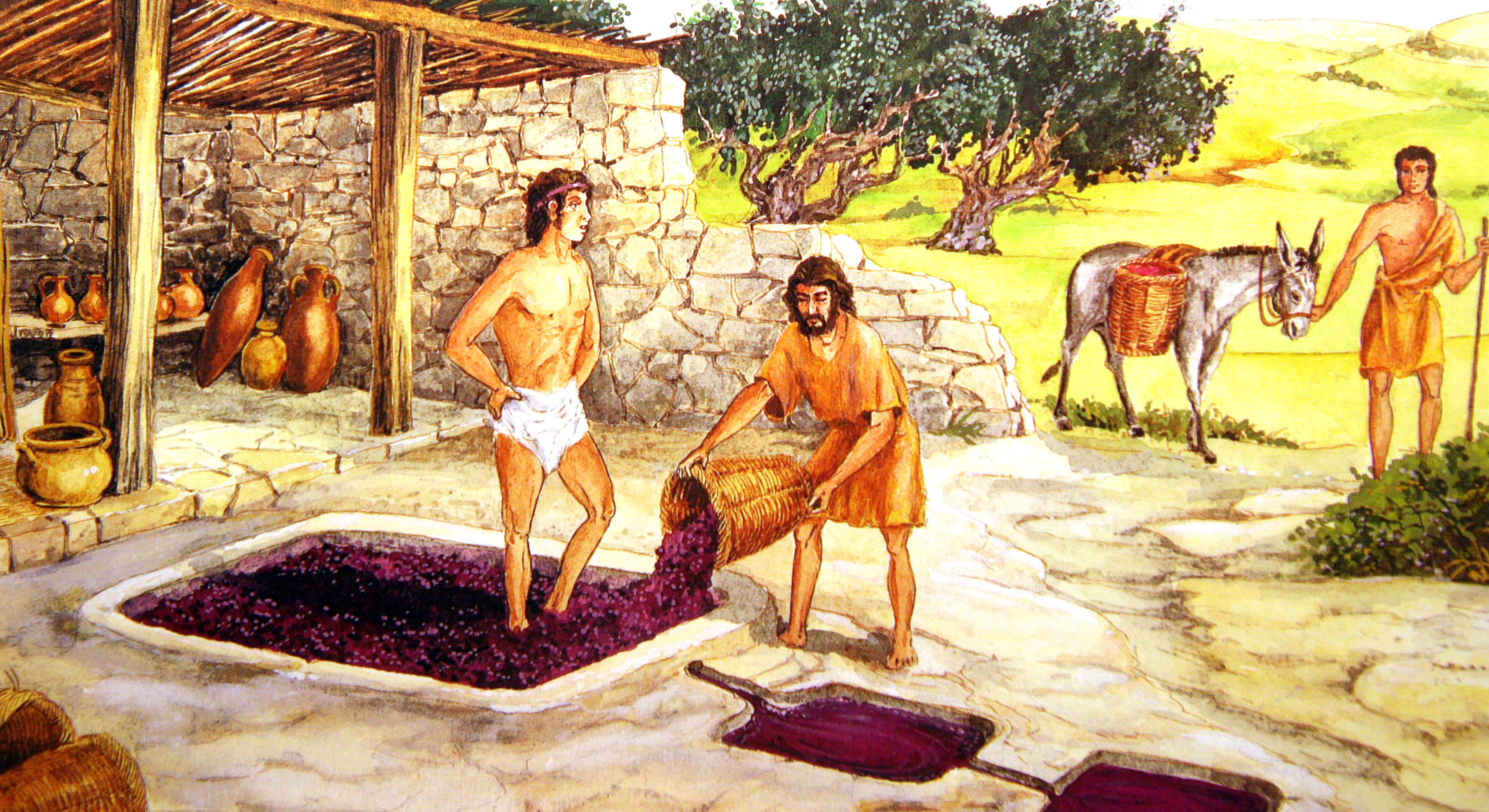Виноград в древней Греции