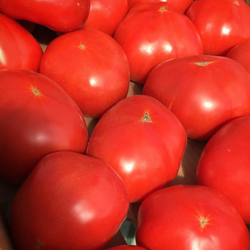 Выбираем помидоры: 29 лучших сортов