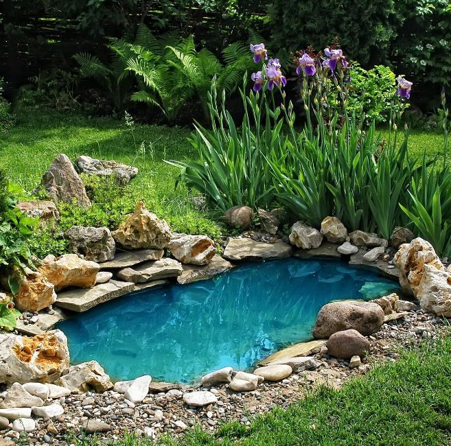 Стоит ли делать пруд на участке?