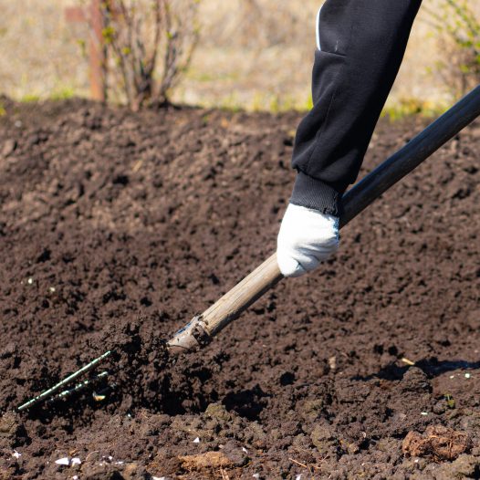 Весенняя обработка почвы в огороде