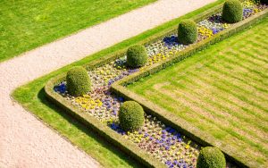 дизайнерский сад