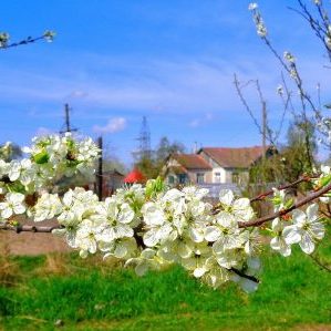 Май — самое горячее время на даче