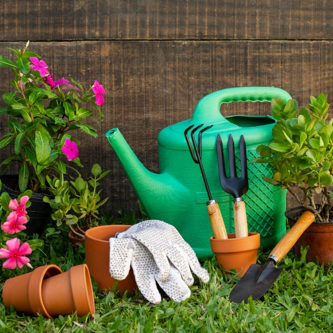 Июль на дачном участке