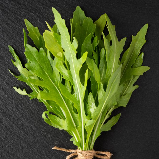 Рукола в огороде: как вырастить сочную и вкусную рукколу