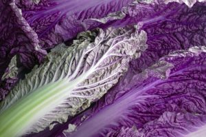 пекинская капуста