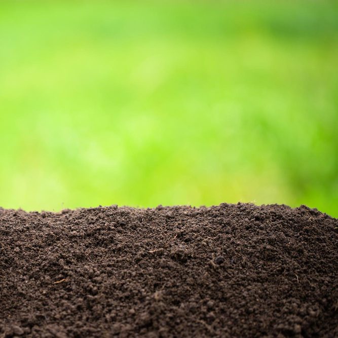 Физические и химические свойства почвы