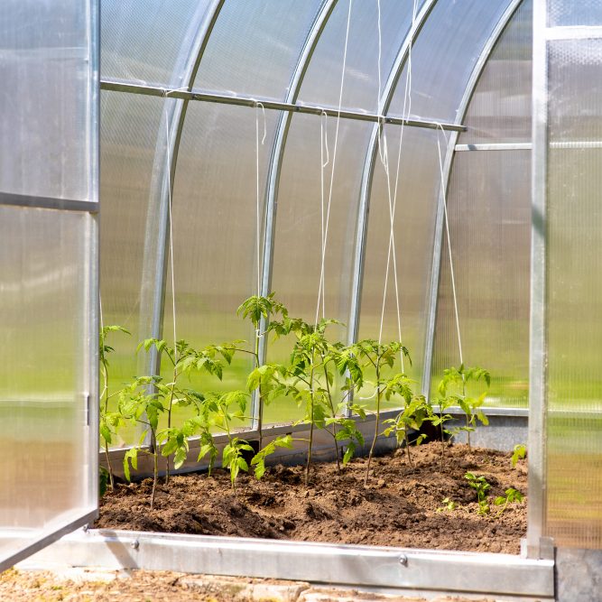 Поддержание микроклимата в теплице, часть I