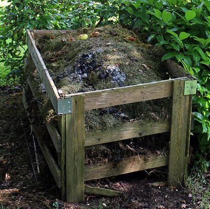 Всё о компосте: приготовление и применение