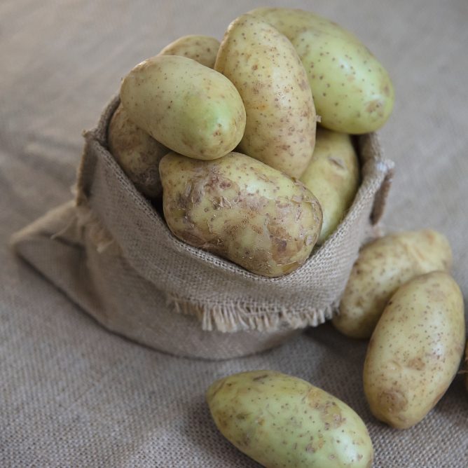 Неинфекционные болезни картофеля