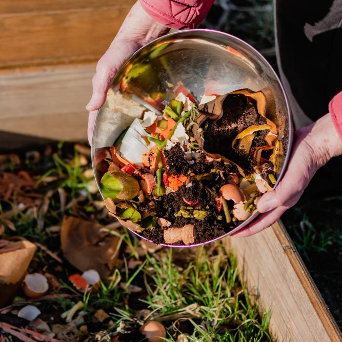 Никогда не кладите в компост это