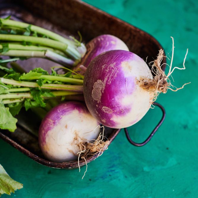 Брюква: от посева до урожая