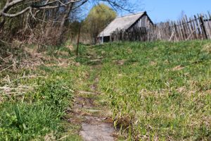 заброшенный участок