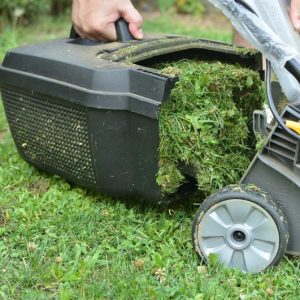 травособорник