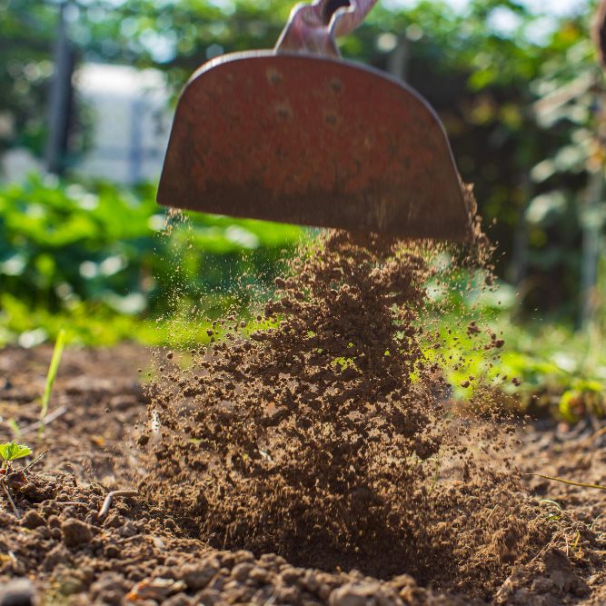 Перепалывание и перекапывание участка