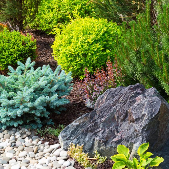 Флора и камень