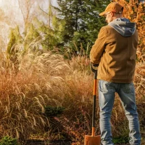 5 осенних ошибок в саду, причиняющих вред многолетникам
