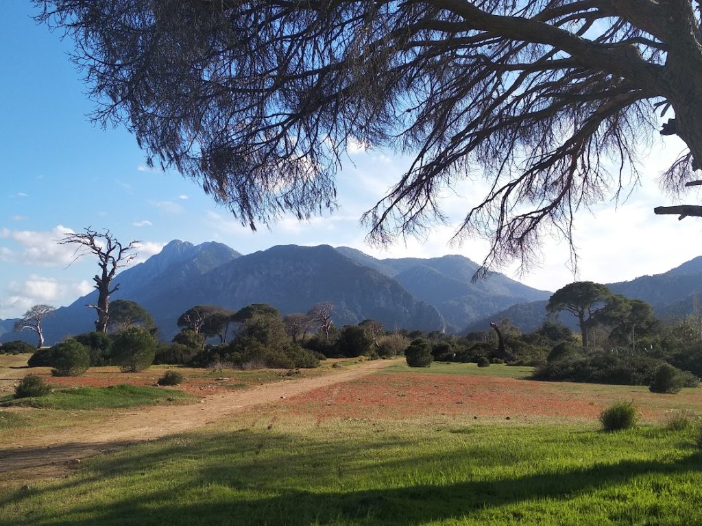 На Ликийской тропе