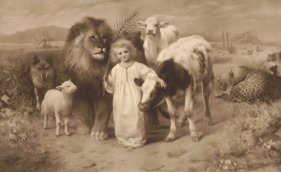 Крещение Господне в зеркале прессы: что важно уточнить