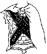 Мишень