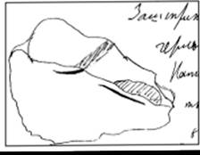 Архиепископ харьковский амвросий (ключарев) (1820—1901). Владыка иосиф семашко. Владыка иосиф семашко. Священномученик александр (петровский), архиепископ харьковский. Иосиф семашко митрополит.