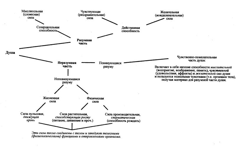 Осенняя посадка саженцев