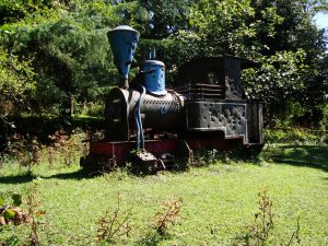 DSC09348 - Новый Афон