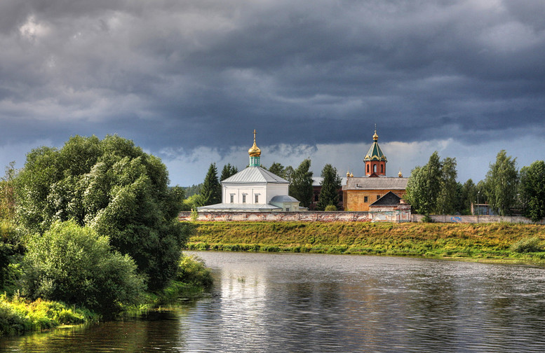 Птицы новгородской области фото